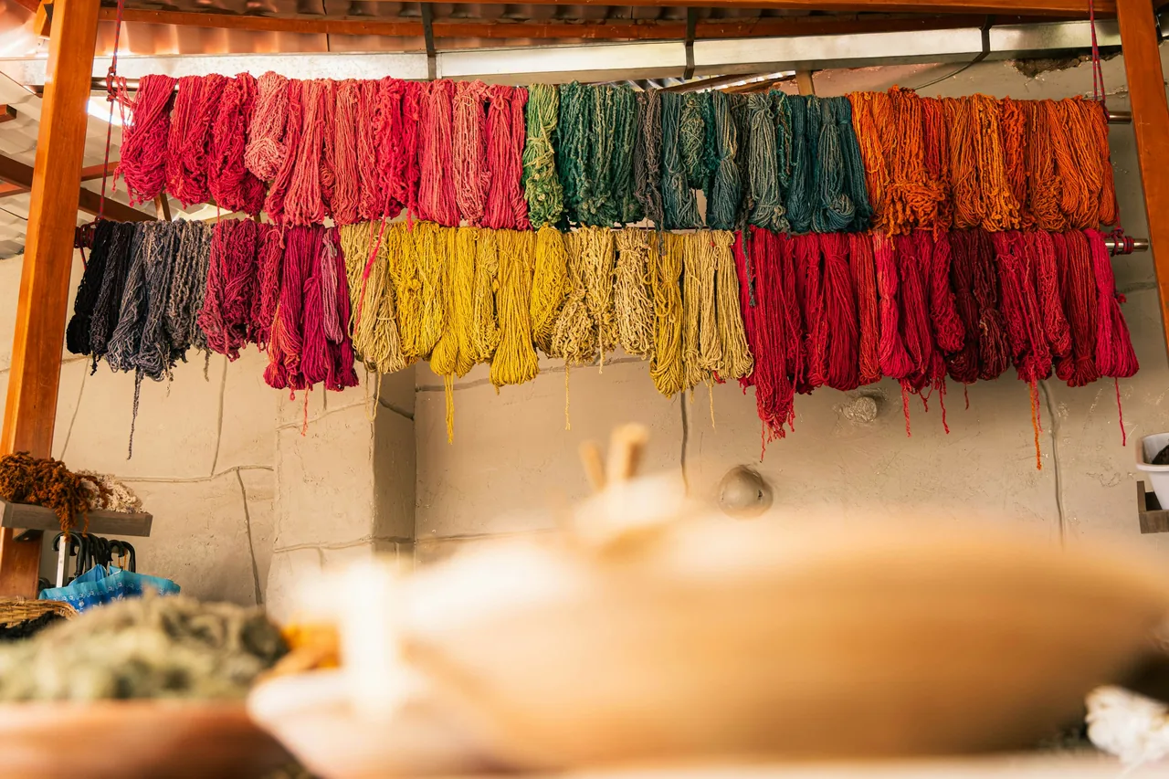 Colorful yarns drying on racks indoors
